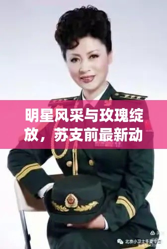 明星风采与玫瑰绽放,苏支前最新动态揭秘
