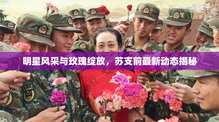 明星风采与玫瑰绽放,苏支前最新动态揭秘