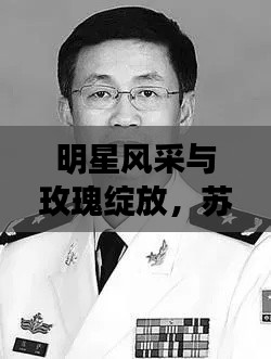 明星风采与玫瑰绽放,苏支前最新动态揭秘