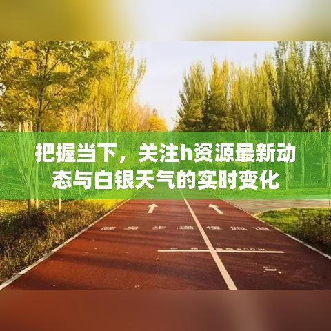 把握当下,关注h资源最新动态与白银天气的实时变化