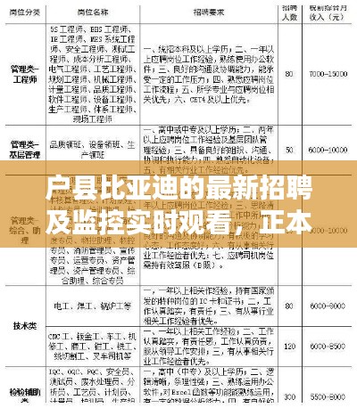 户县比亚迪的最新招聘及监控实时观看,正本清源、务实指导与打假警示