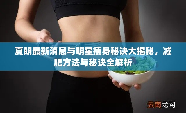 夏朗最新消息与明星瘦身秘诀大揭秘,减肥方法与秘诀全解析