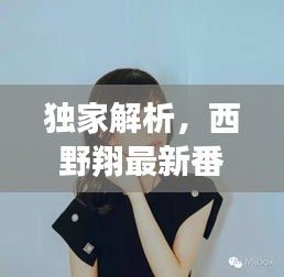 独家解析,西野翔最新番与当下潮流热点碰撞,时空跨越的潮流盛宴