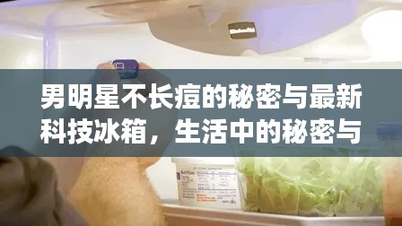 男明星不长痘的秘密与最新科技冰箱,生活中的秘密与科技进步揭秘