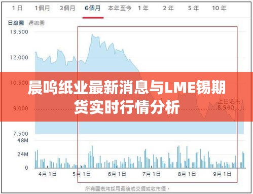 晨呜纸业最新消息与LME锡期货实时行情分析