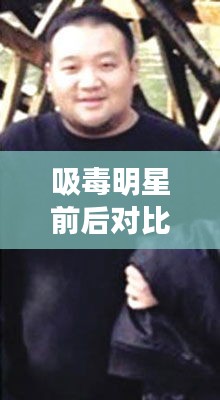 吸毒明星前后对比照片与美女宰生猪现象的深度解析