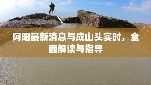 阿阳最新消息与成山头实时,全面解读与指导