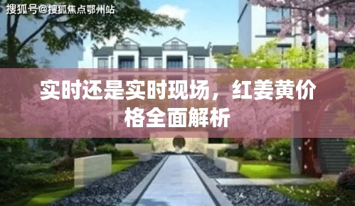 实时还是实时现场,红姜黄价格全面解析