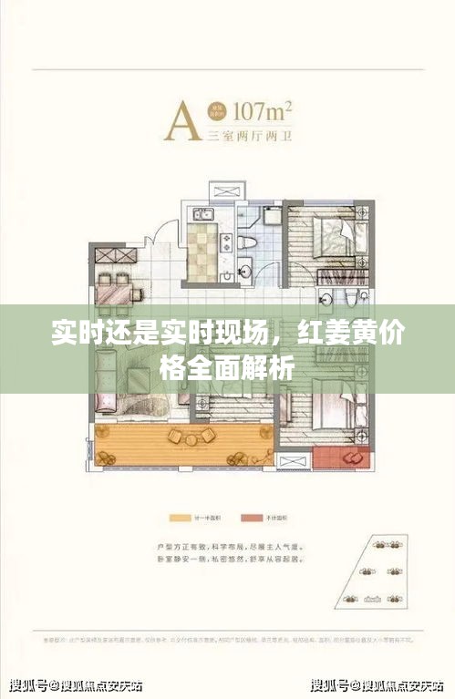 实时还是实时现场,红姜黄价格全面解析