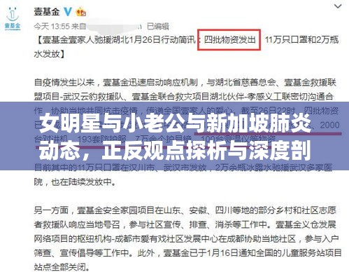 女明星与小老公与新加坡肺炎动态,正反观点探析与深度剖析