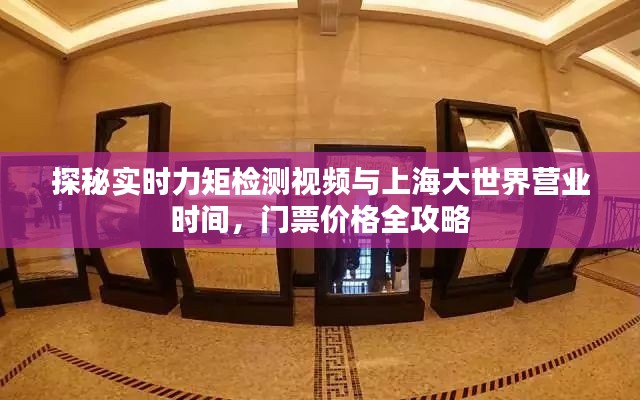 探秘实时力矩检测视频与上海大世界营业时间,门票价格全攻略