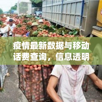 疫情最新数据与移动话费查询，信息透明化的关键重要性