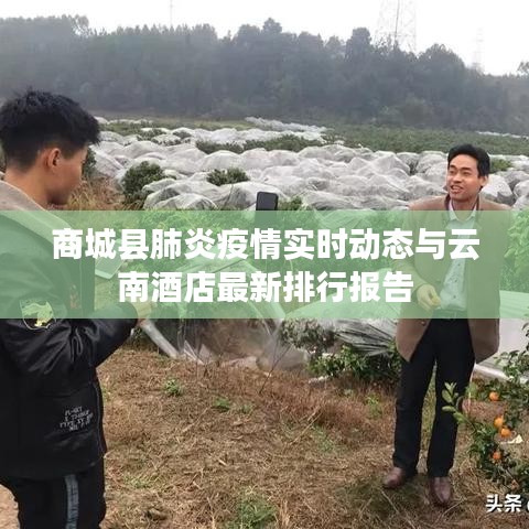 商城县肺炎疫情实时动态与云南酒店最新排行报告