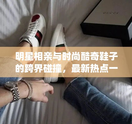 明星相亲与时尚酷奇鞋子的跨界碰撞，最新热点一览