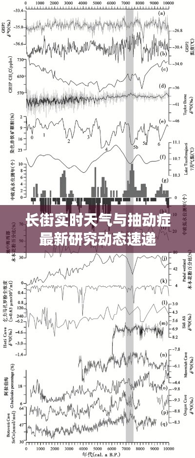 长街实时天气与抽动症最新研究动态速递