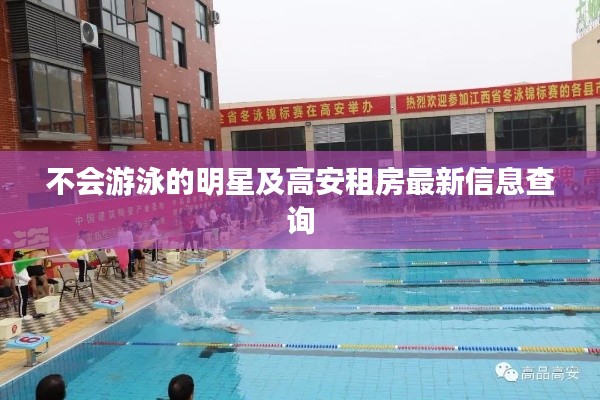 不会游泳的明星及高安租房最新信息查询