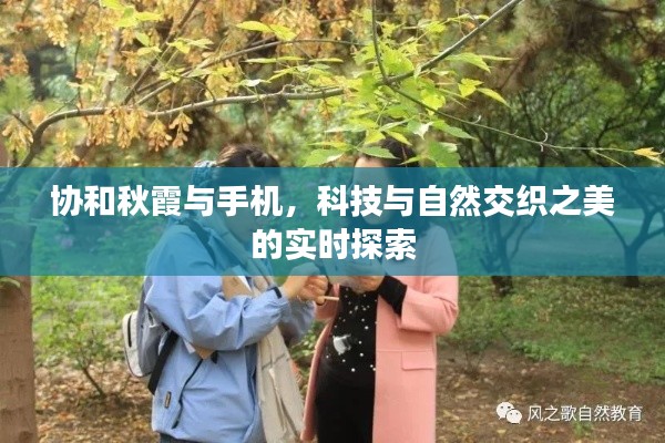 协和秋霞与手机,科技与自然交织之美的实时探索