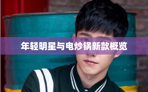 年轻明星与电炒锅新款概览