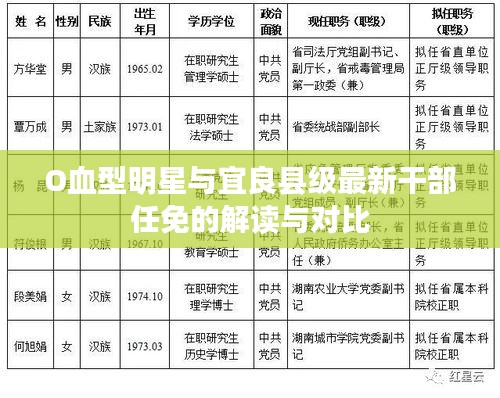 O血型明星与宜良县级最新干部任免的解读与对比