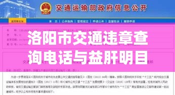 洛阳市交通违章查询电话与益肝明目口服液价格信息汇总