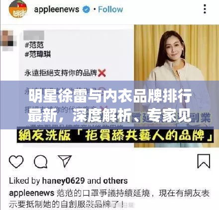 明星徐雷与内衣品牌排行最新，深度解析、专家见解及公众防范指南