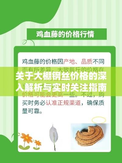 关于大棚钢丝价格的深入解析与实时关注指南