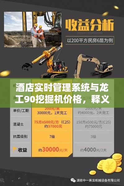 酒店实时管理系统与龙工90挖掘机价格，释义、实践与防范虚假宣传