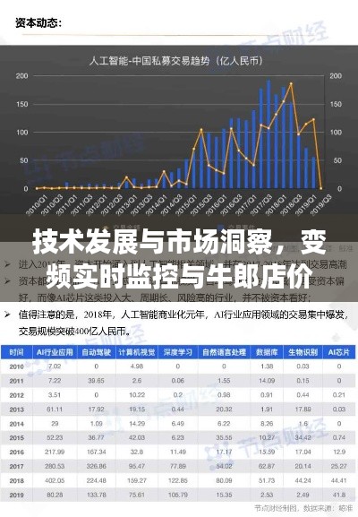 技术发展与市场洞察，变频实时监控与牛郎店价格探究