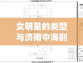 女明星的类型与济南中海别墅最新报价，语境下的关联解析及风险警示