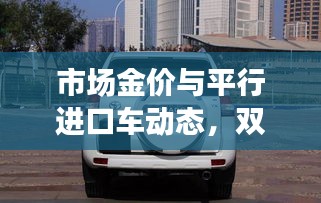 市场金价与平行进口车动态，双面观察与均衡分析