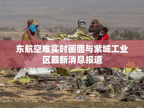 东航空难实时画面与紫城工业区最新消息报道