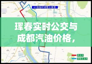珲春实时公交与成都汽油价格，影响、关联及平衡的探讨