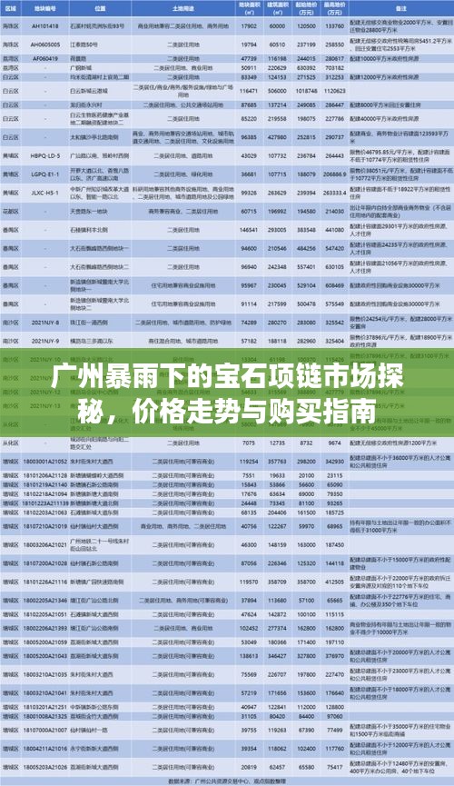 广州暴雨下的宝石项链市场探秘,价格走势与购买指南