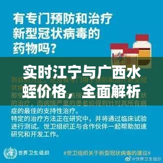实时江宁与广西水蛭价格，全面解析、专家解读与防范虚假宣传