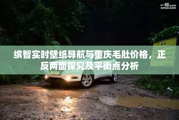 缤智实时壁纸导航与重庆毛肚价格,正反两面探究及平衡点分析