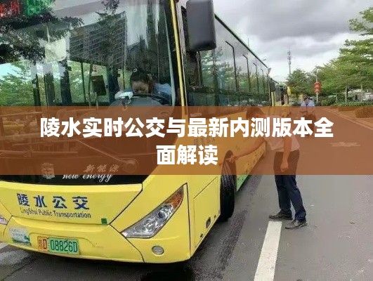 陵水实时公交与最新内测版本全面解读