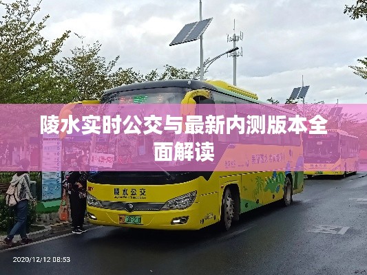 陵水实时公交与最新内测版本全面解读