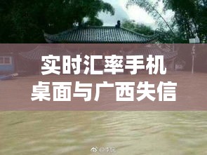实时汇率手机桌面与广西失信人名单更新概览