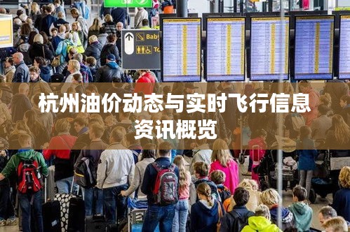 杭州油价动态与实时飞行信息资讯概览