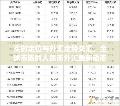 实时定位与外汇走势交汇,全球市场的人民币外汇最新动态