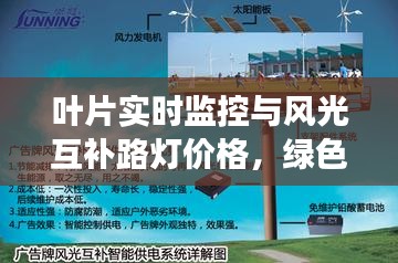 叶片实时监控与风光互补路灯价格,绿色能源监控技术的最新进展探讨