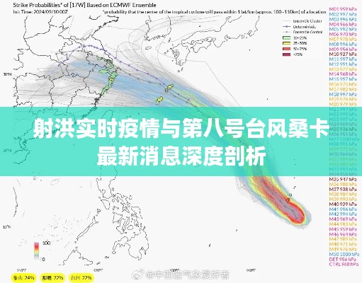 射洪实时疫情与第八号台风桑卡最新消息深度剖析