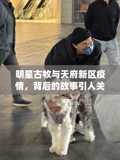 明星古牧与天府新区疫情,背后的故事引人关注