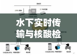 水下实时传输与核酸检测机构技术要点概览