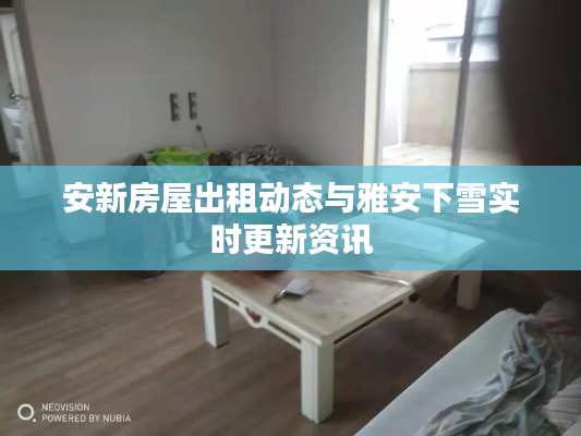 安新房屋出租动态与雅安下雪实时更新资讯