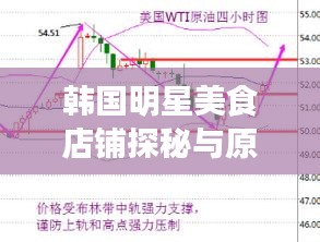 韩国明星美食店铺探秘与原油走势分析,一手资讯大揭秘!