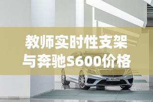 教师实时性支架与奔驰S600价格,全面释义、深度解读及风险预警
