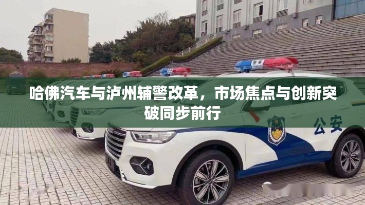 哈佛汽车与泸州辅警改革,市场焦点与创新突破同步前行