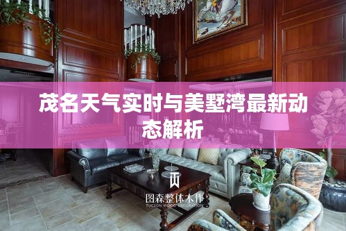 茂名天气实时与美墅湾最新动态解析