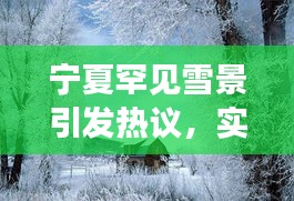 宁夏罕见雪景引发热议,实时画面成新话题焦点